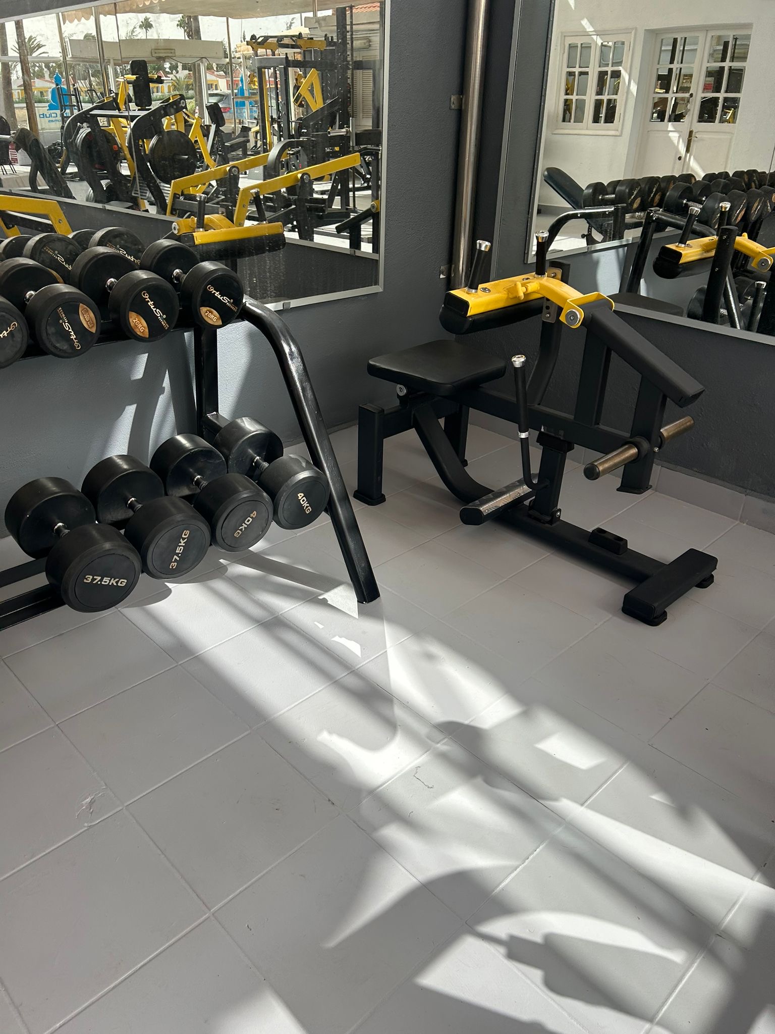 Free weights and training equipment